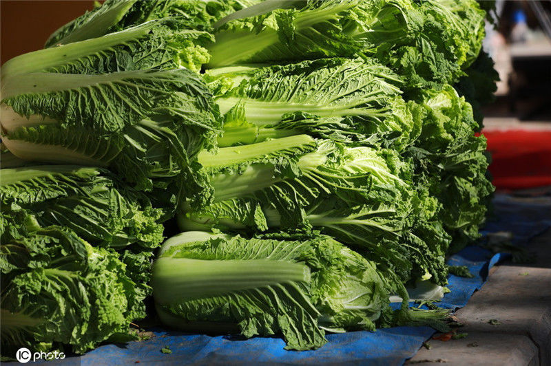 长春秋菜上市 临街销售的秋储菜依然很东北!