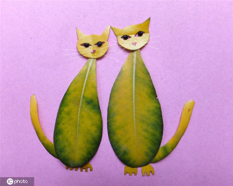 后根据树叶的外形特点和颜色,巧妙拼出旗袍,人物,动物和风景等图案