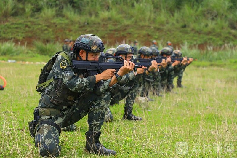 直击武警海南总队机动支队实战化练兵荔枝军事