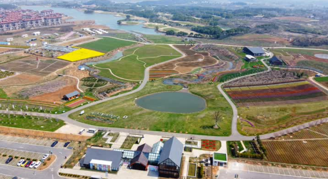 春暖花已開,句容伏熱花海莊園內景色宜人