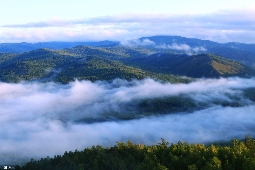 大兴安岭森林地理风光,清晨辽阔林海云雾,山岭山林云海,山峦树林晨雾