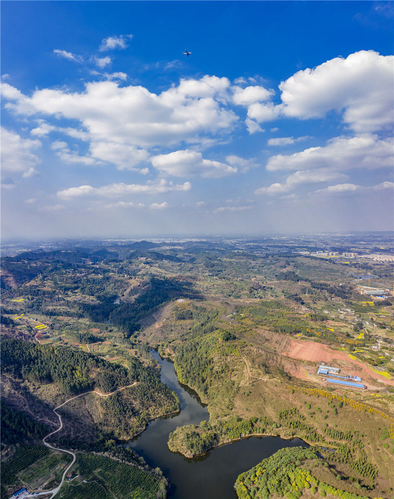 2020年2月29日,四川省眉山天府新區青龍街道桂林村,陽光明媚,天高雲淡