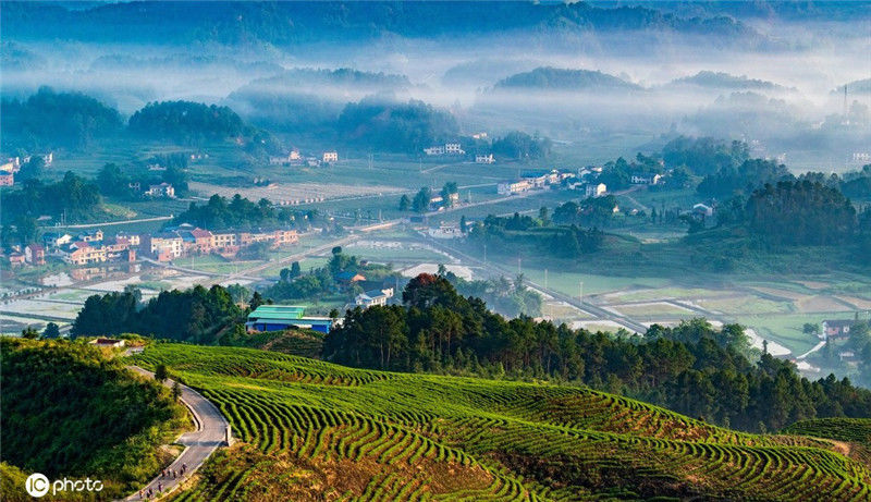 2020年6月5日,晨雾中的重庆市南川区兴隆镇金花村人居环境美如画.