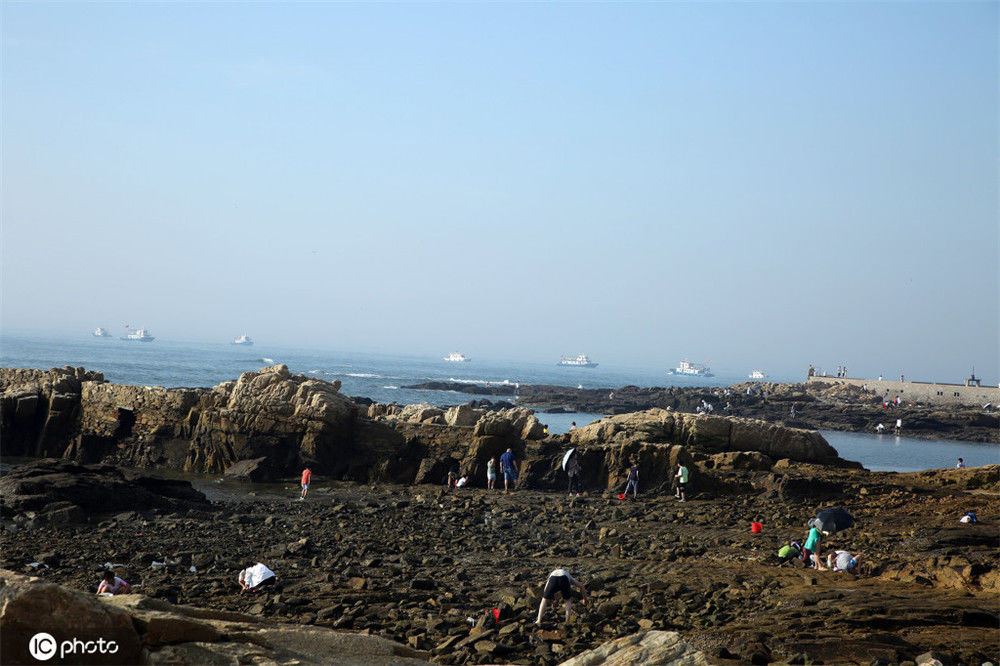 2020年8月16日清晨,山东省日照市,在任家台赶海园,几百名游客携妻带子