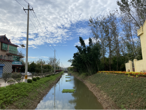 我为群众办实事丨扎下镇卢巷村:修路攻坚 治水为民