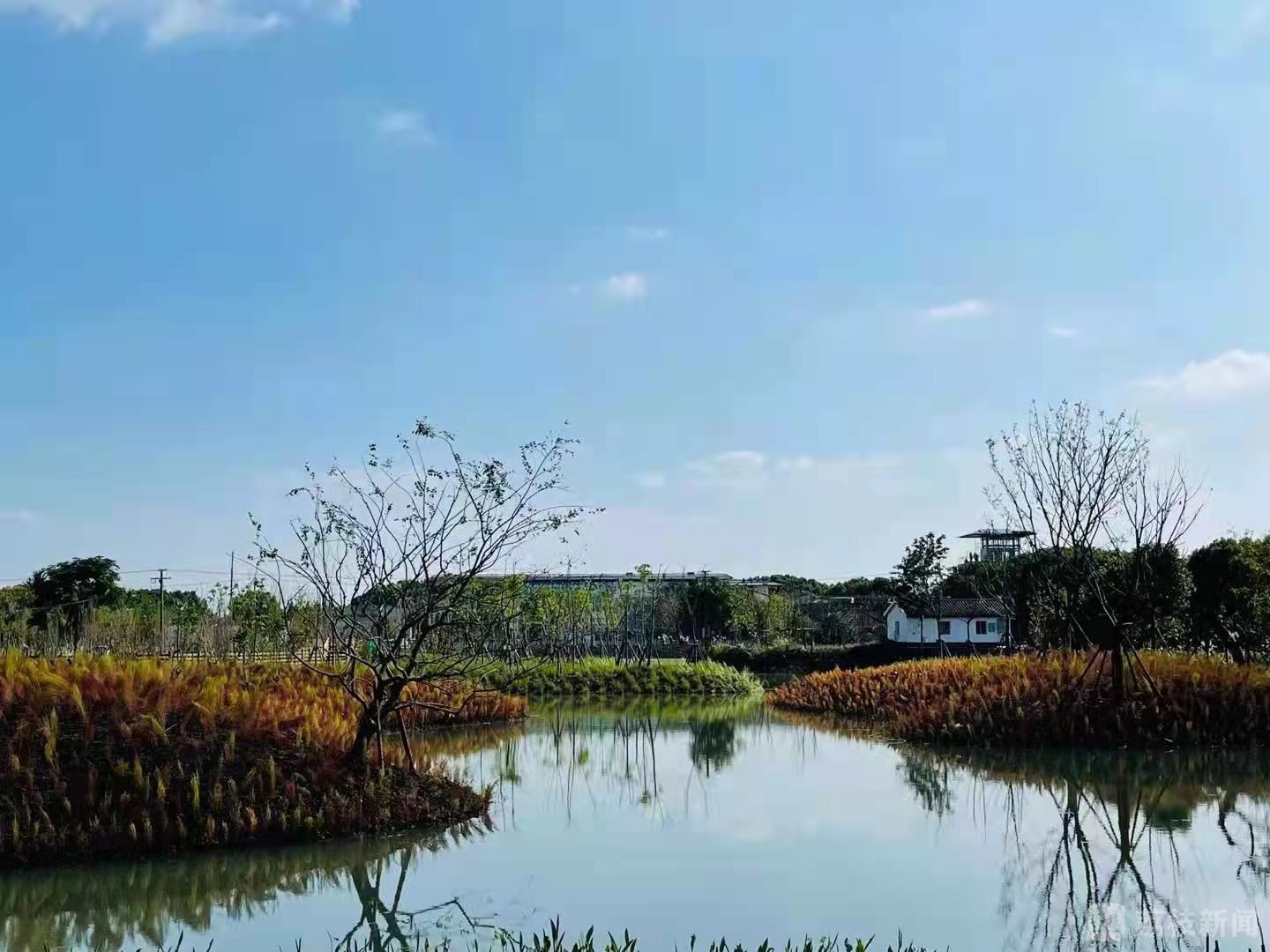 水乡客厅伟明村图片