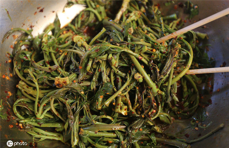 2016年3月20日,云南昆明,春吃春菜正当时,吃货的春天来了.