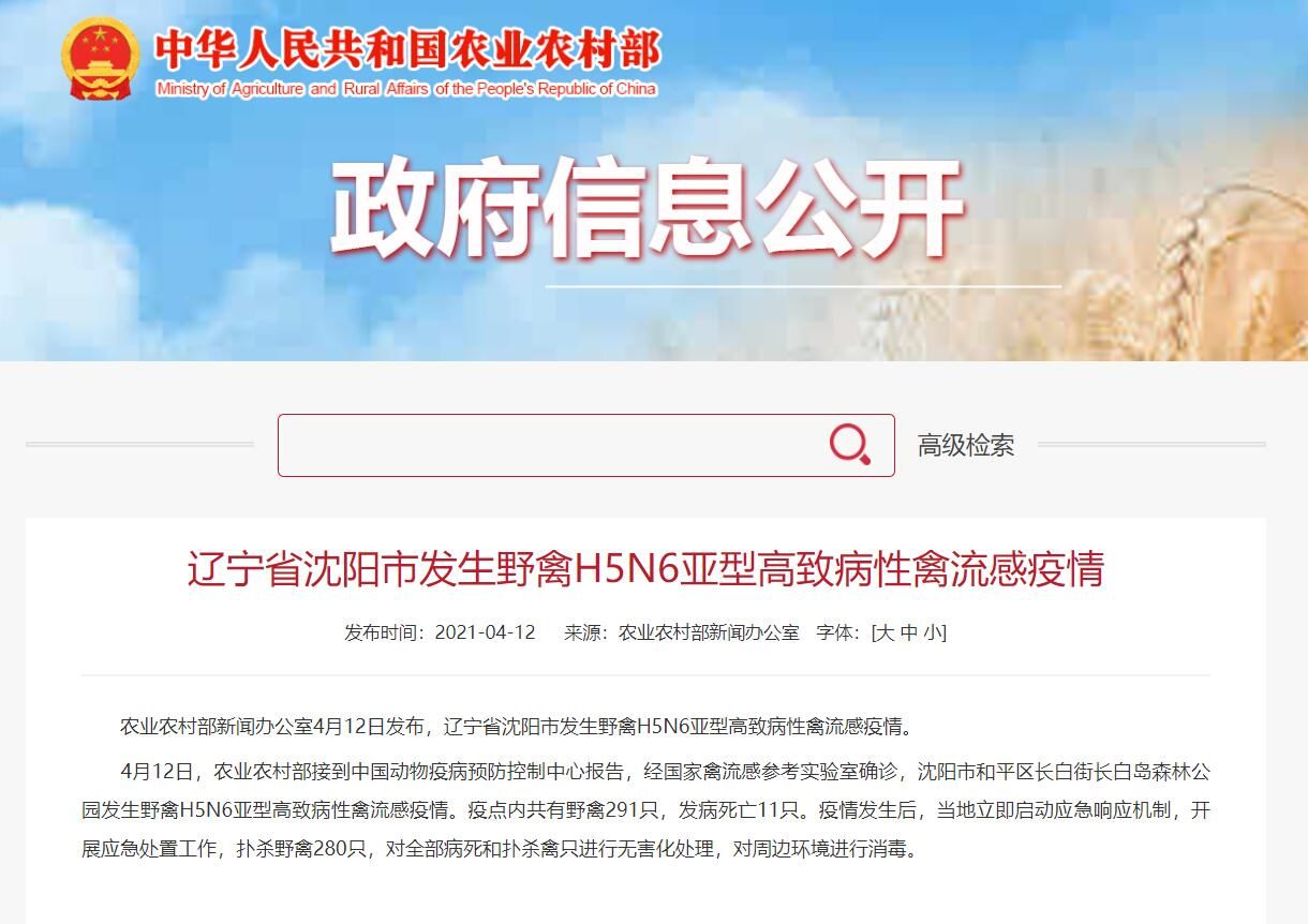 经国家禽流感参考实验室确诊,沈阳市和平区长白街长白岛森林公园发生