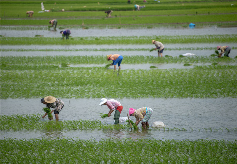 礼赞劳动 致敬身边平凡而伟大的劳动者