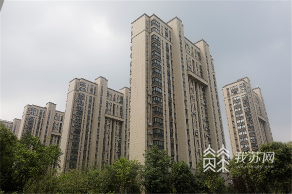 (父亲所居住的小区:禄口街道翔宇花园)