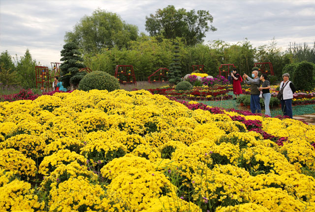 西安植物园秋季花展绚烂缤纷 6万余盆鲜花装点出秋意美景