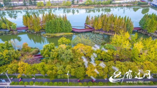 DJI_0642(2437460)-20221101084628