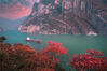 2022年11月18日重庆长江三峡秋色一库碧水荡漾 两岸红叶漫山。图为长江三峡巫峡美景。