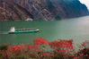 2022年11月18日重庆长江三峡秋色一库碧水荡漾 两岸红叶漫山。图为长江三峡巫峡美景。