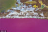 2022年11月18日，山西运城，从空中俯瞰盐湖色彩斑斓、犹如调色盘，蔚为壮观。来源：视觉中国 签约供稿人/视觉中国