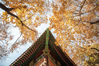 2022年11月1日，北京颐和园谐趣园秋色满园，苏州湖景色宜人。