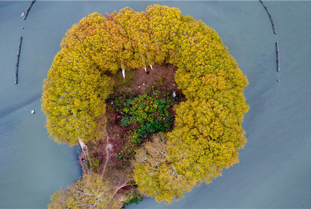 初冬时节 俯瞰武汉东湖上的“金汤勺”，色彩斑斓！