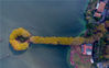 2022年11月21日，在武汉东湖绿道团山驿站旁边，伸入湖中半岛的湖心步道上梧桐树叶色彩斑斓，如同一个金色的“汤勺”伸入湖中。来源：IC photo 申易/IC photo 