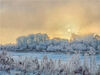 2022年11月24日，黑龙江漠河，整座城市迎来了入冬以来最大、最漂亮的一场雾凇。伴随着黑龙江上浓郁的晨雾，江畔附近的树木被雾凇点染得一派素洁、妖娆。肖玉华/IC photo 编辑/陈进