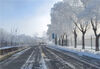 2022年11月24日，黑龙江黑河，农历冬月初一，整座城市迎来了入冬以来最大、最漂亮的一场雾凇。