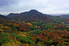 11月27日初冬时节，南京幕府山蜿蜒山路，层峦叠嶂，绚丽多彩，处处美景如画。五彩斑斓的植被，碧绿的溪水，构成了一幅美丽山水画卷惹人醉。自然摄影师武先生高兴地称，未想到，空中俯瞰南京幕府山，真乃美如画。来源：我苏网 通讯员/武家敏 编辑/刘佳