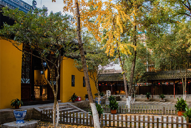 苏州：寒山寺树叶泛黄飘落 与黄色院墙融为一景