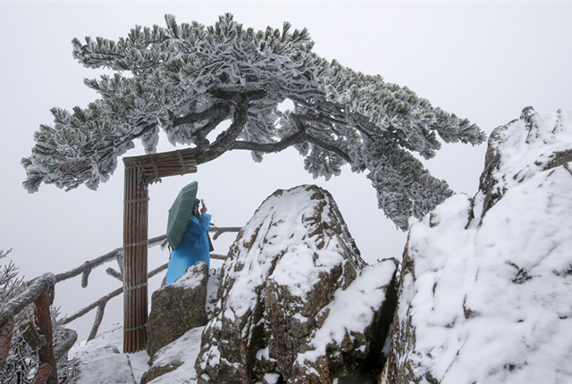 安徽黄山迎来入冬首场降雪 山石树木银装素裹