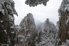 2022年11月30日，安徽黄山风景区，入冬首场雪景。一派银装素裹，玉树琼枝，晶莹剔透，宛如琉璃仙境。