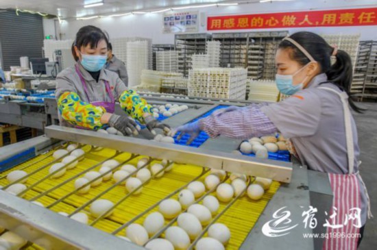 DSC_5098(2529015)-20221224091216