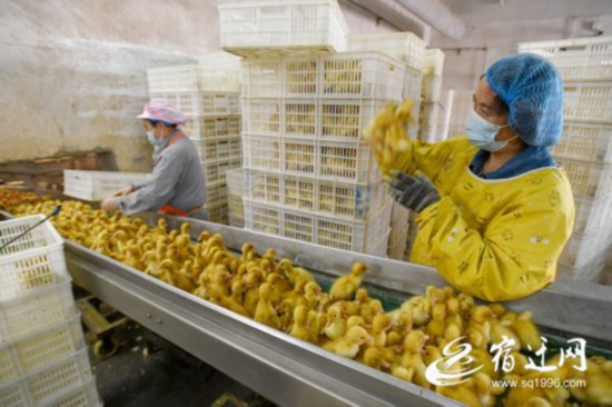 DSC_5136(2529005)-20221224091129