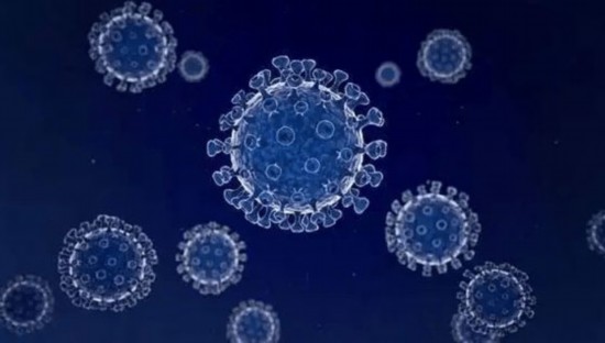 新冠病毒突变基本饱和？专家这样解读  