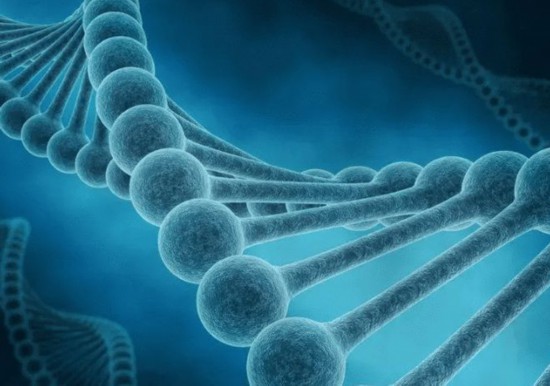 新冠病毒突变基本饱和？专家这样解读  