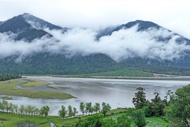 西藏林芝：古乡湖云雾缭绕似仙境