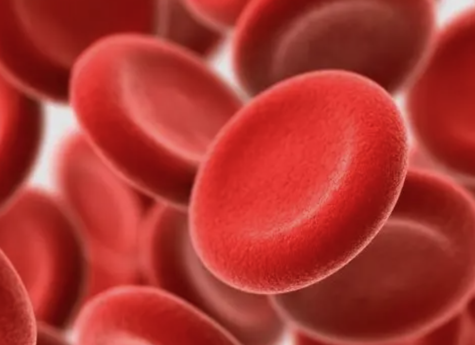 dba|我国科学家破解 红细胞再障血液病发病机制