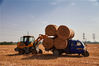 2022年6月6日，安徽宿州灵璧县小麦丰收，收割忙。
