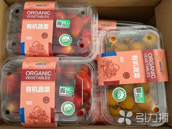 广东优质碳素厂家