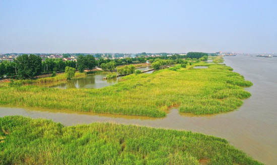 之江绿水田园图片
