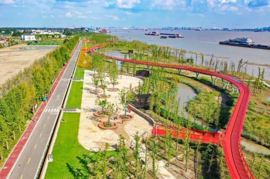 渔忆长江湿地生态公园。盛义摄