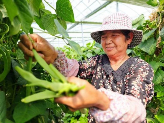 微信图片_20220609082912