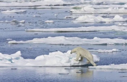 北极局部变暖速度达世界其他地方7倍