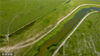 2022年8月11日，河南三门峡，在湖滨区王官黄河湿地，黄河岸边碧草青青，犹如铺上一层绿茸茸的地毯，形成了一幅美丽的画卷，总面积近千亩的黄河湿地变身为美丽的大草原。
