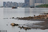 2022年8月13日，受长江流域降雨量偏少和上游来水量锐减的影响，进入主汛期后长江水位持续退落，出现了“汛期反枯”的罕见现象。