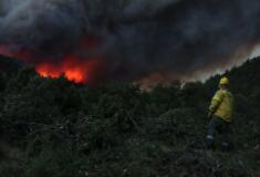 |全球森林火灾在二十年内翻了一番