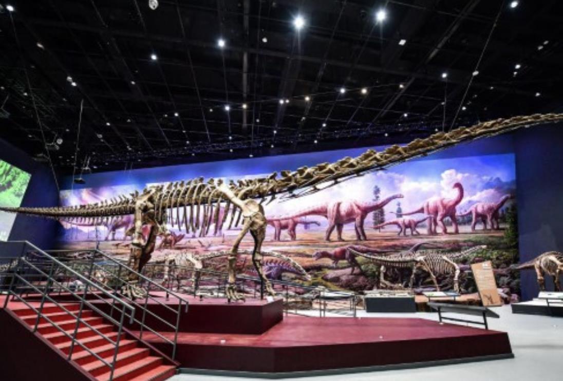 恐龙化石|科研人员帮助亚洲最大的完整恐龙化石“长”了2米