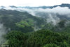 2022年8月5日，贵州省黔东南苗族侗族自治州，一场降雨过后，丹寨县扬武镇排莫村的山乡梯田云雾缭绕，风景如画。