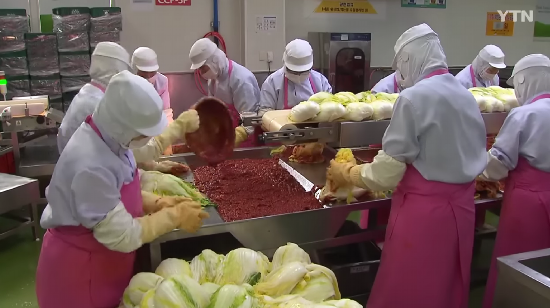 泡菜腌制现场（韩国YTN电视台）