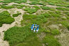 2022年9月20日，江苏南京，市民在石臼湖张许村段滩涂上拍摄照片。