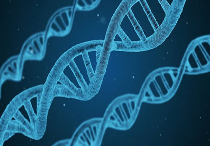 基因|最新研究：科学家鉴定出“好斗”抑制基因