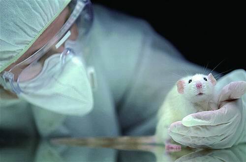 动物|美国新法案将签署：新药研发可放弃动物试验，FDA依然可批准
