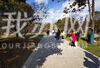 今天（1月24日），正月初三，天气晴好，趁着春节假期，不少市民来到南京梅花山欣赏双梅绽放，感受新年的“梅”好祝福。
